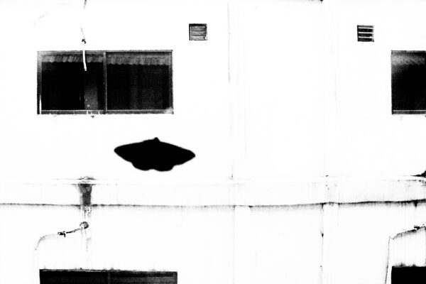 A view from the window
